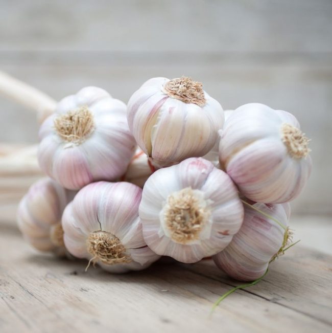 Garlic(Bulb)